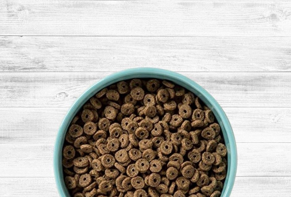 diamond naturals dry dog food