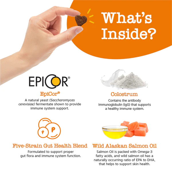 Zesty Paws Allergy Immune Supplement Review​